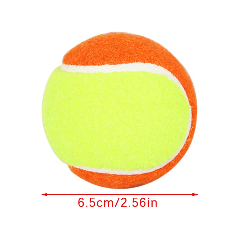 Balle de Tennis pour Chien Bicolore