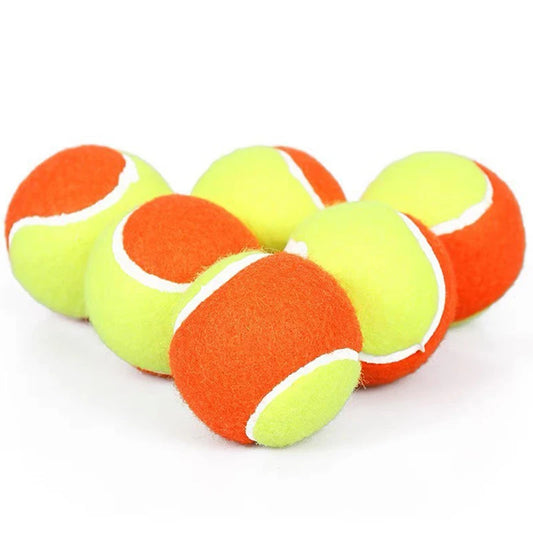 Balle de Tennis pour Chien Bicolore