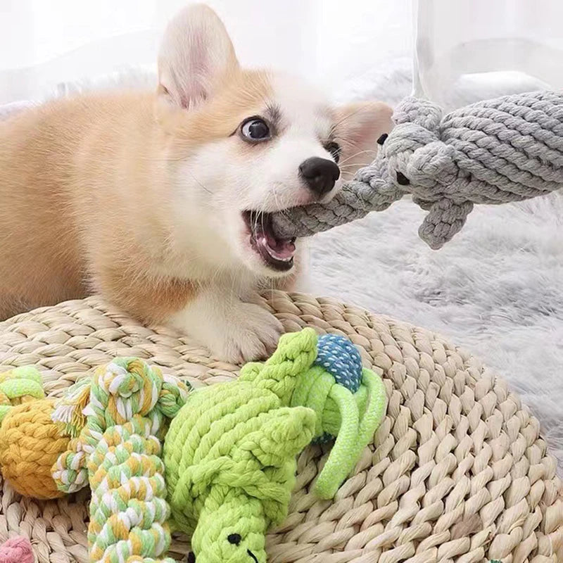 Jouets à Corde pour Chien (à choix)